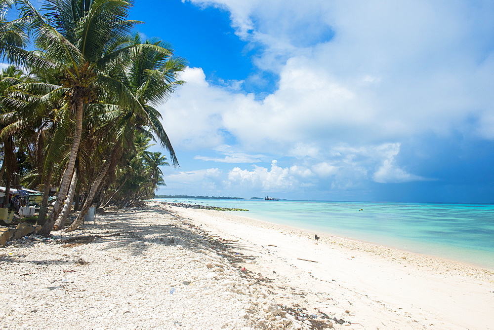 The beautiful lagoon of Funafuti, Tuvalu, South Pacific