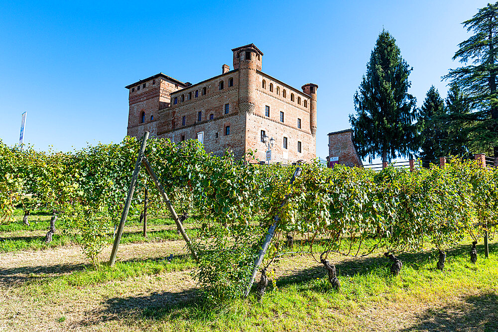 Castle of Grinzane Cavour, Barolo wine region, UNESCO World Heritage Site, Piedmont, Italy, Europe