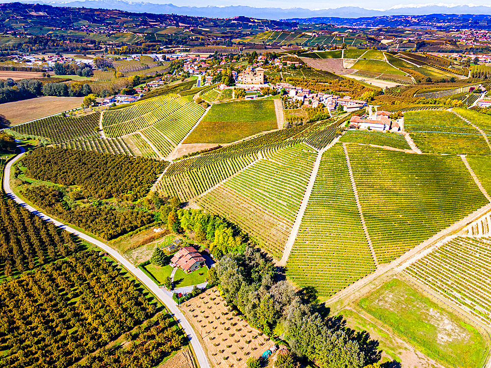 Aerial of the vineyards around Castle of Grinzane Cavour, Barolo wine region, UNESCO World Heritage Site, Piedmont, Italy, Europe