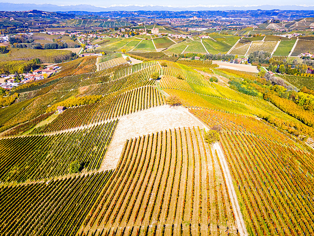 Aerial of the vineyards around Castle of Grinzane Cavour, Barolo wine region, UNESCO World Heritage Site, Piedmont, Italy, Europe