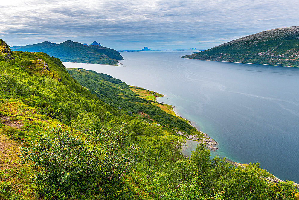 Rugged coastline along the Kystriksveien Coastal Road, Norway, Scandinavia, Europe