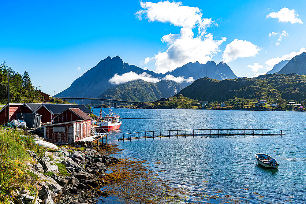 Little fishing hamlets along a fjord, Lofoten, Nordland, Norway, Scandinavia, Europe