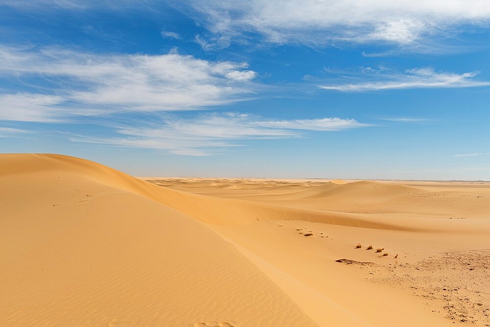 Sand dune in the Tenere Desert, Sahara, Niger, Africa