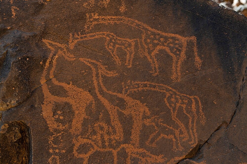 Prehistoric rock carvings, Arakao, Tenere Desert, Sahara, Niger, Africa