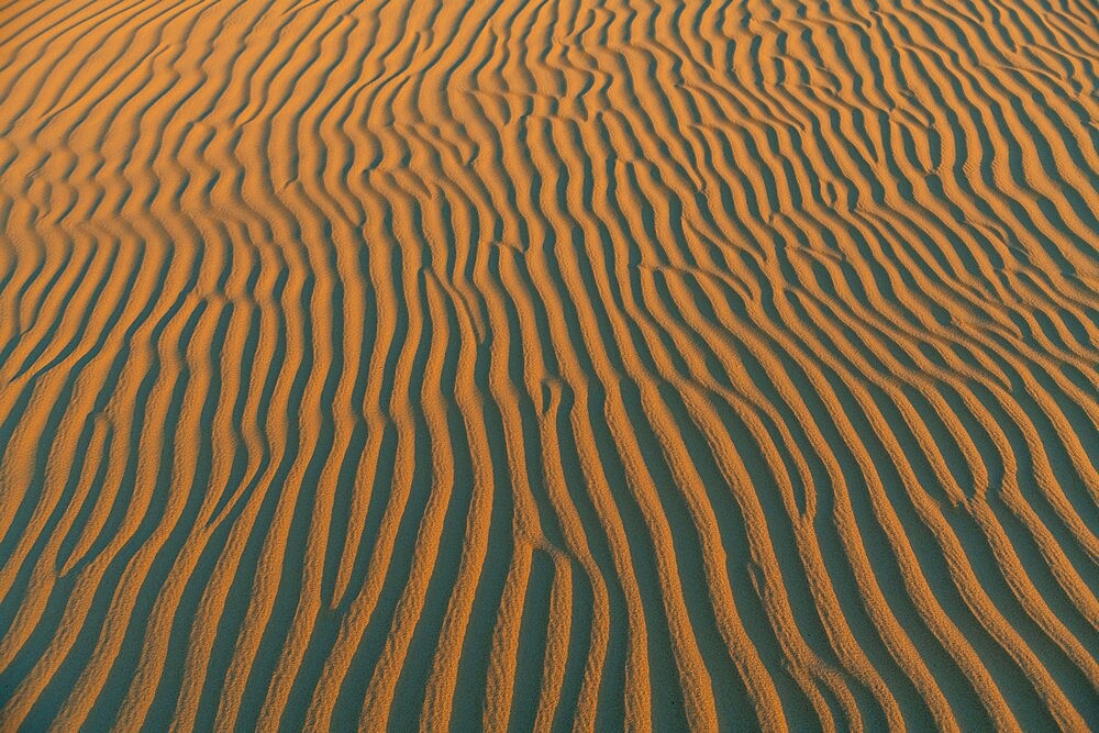 Sand ripples in the sand dunes of the Tenere Desert, Sahara, Niger, Africa