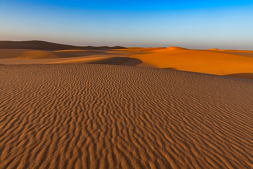 Ripples in the desert sand, Sahara, Niger, Africa