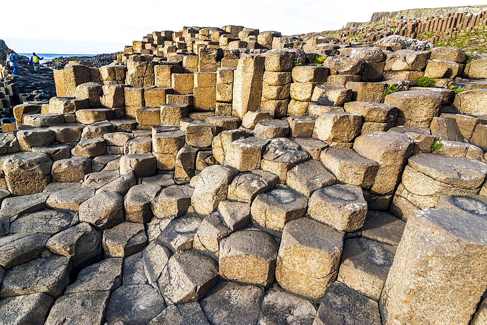 The Giants Causeway, UNESCO World Heritage Site, County Antrim, Ulster, Northern Ireland, United Kingdom, Europe 