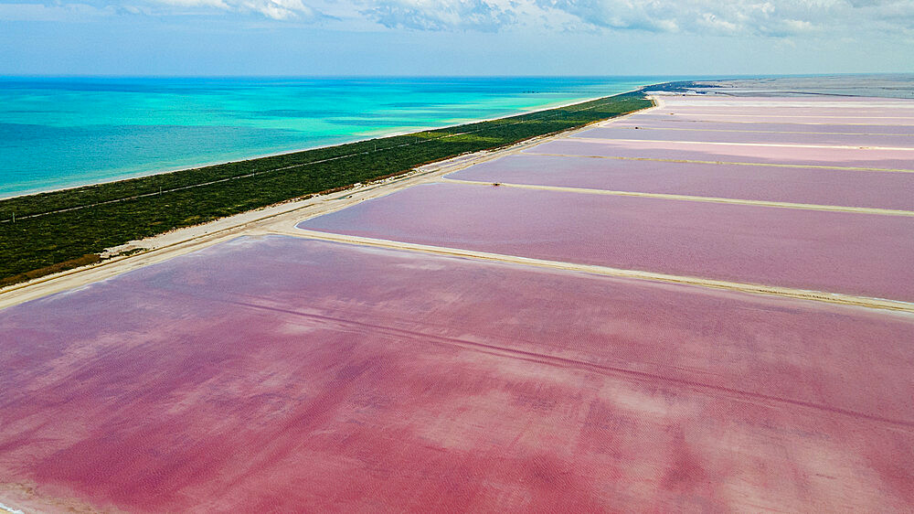 Aerial of the colourful salinas of Las Coloradas, Yucatan, Mexico, North America