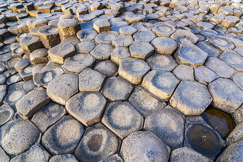 The Giants Causeway, UNESCO World Heritage Site, County Antrim, Ulster, Northern Ireland, United Kingdom, Europe 