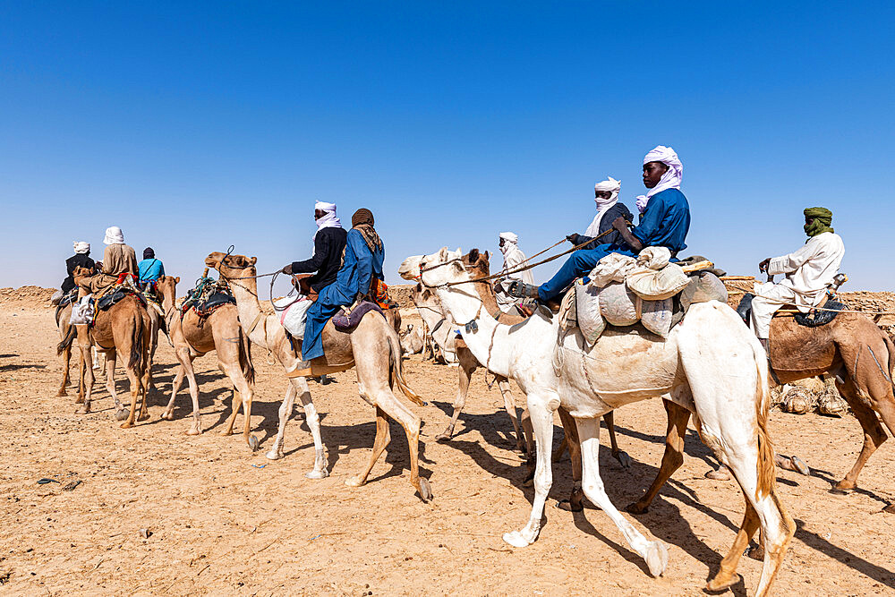 Tuaregs on their camels, Bilma, Tenere desert, Niger, West Africa, Africa