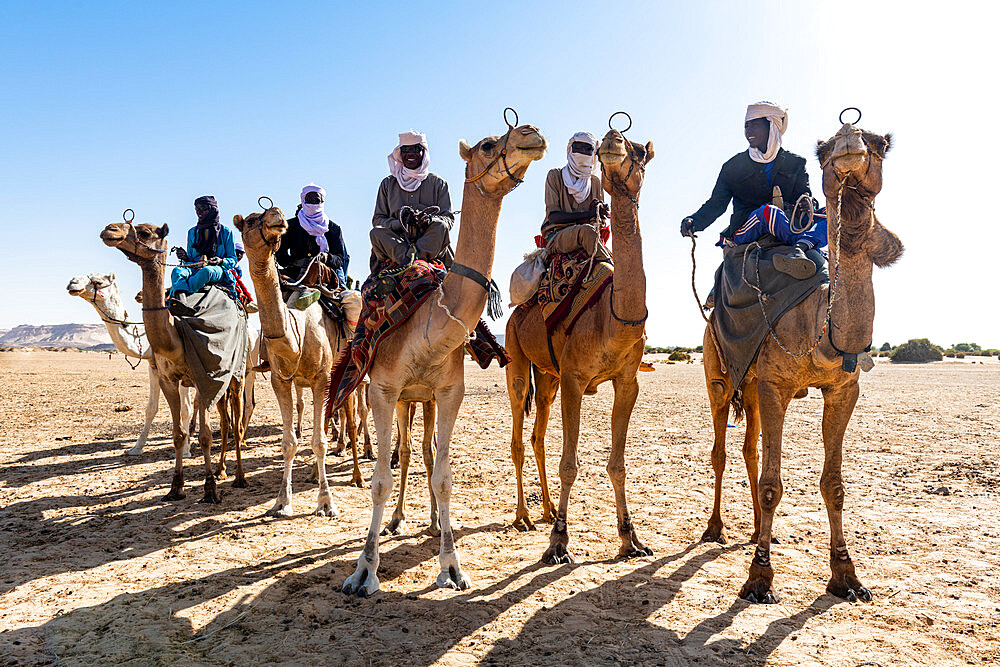 Tuaregs on their camels, Bilma, Tenere desert, Niger, West Africa, Africa