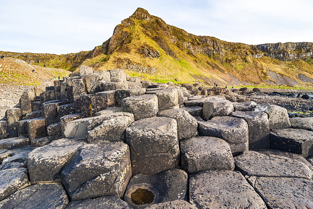 The Giants Causeway, UNESCO World Heritage Site, County Antrim, Ulster, Northern Ireland, United Kingdom, Europe 