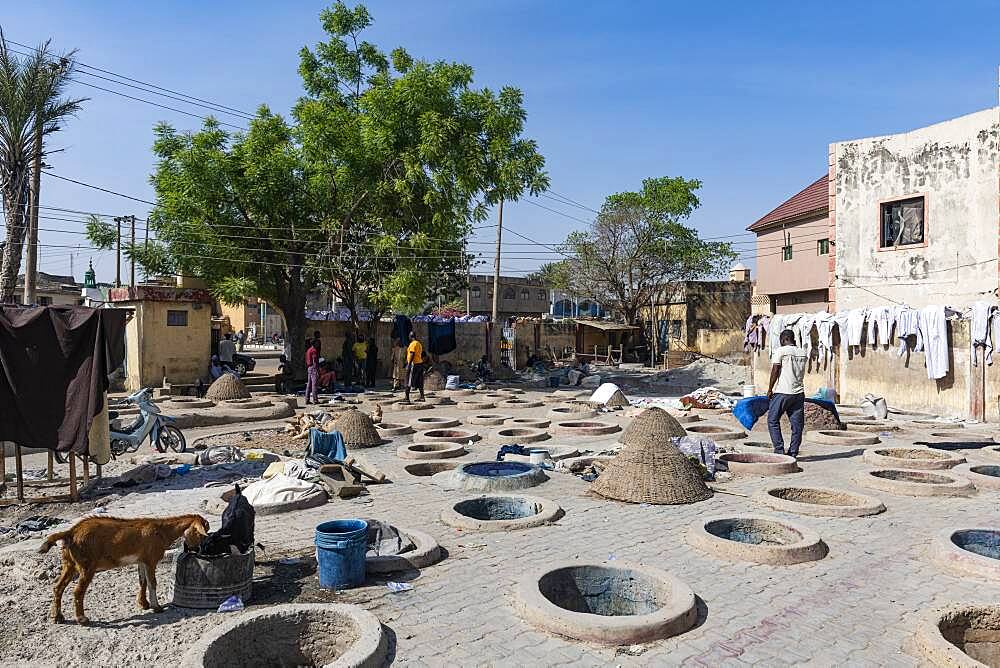 Dyeing pits, Kano, Kano state, Nigeria, West Africa, Africa