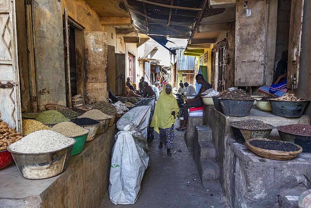 Spices for sale in the bazaar of Kano, Kano state, Nigeria, West Africa, Africa