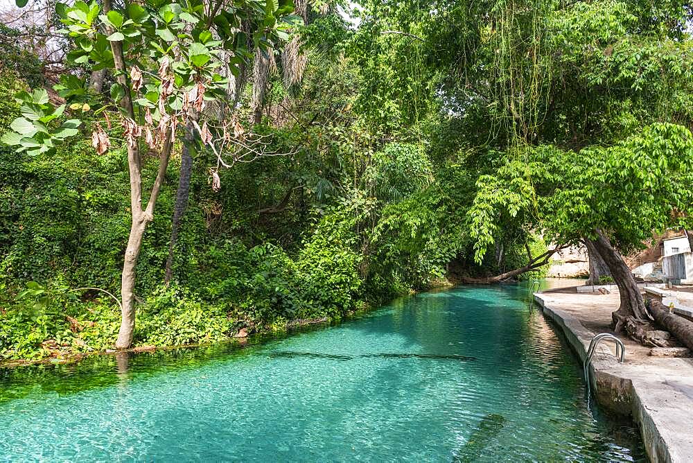 Turquoise Wikki warm springs, Yankari National Park, eastern Nigeria, West Africa, Africa