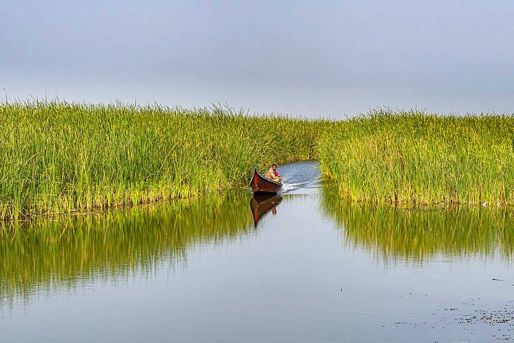 Little boat in the Mesopotamian Marshes, The Ahwar of Southern Iraq, UNESCO World Heritage Site, Iraq, Middle East