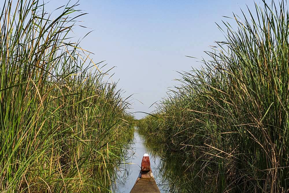 The Mesopotamian Marshes, The Ahwar of Southern Iraq, UNESCO World Heritage Site, Iraq, Middle East