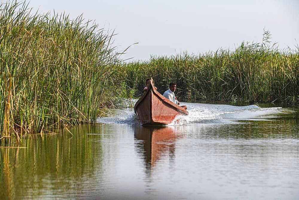 Local boat, Mesopotamian Marshes, The Ahwar of Southern Iraq, UNESCO World Heritage Site, Iraq, Middle East