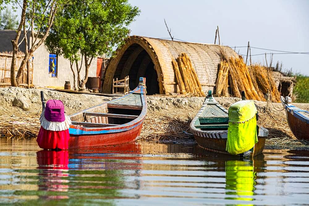 Traditional reed house, Mesopotamian Marshes, The Ahwar of Southern Iraq, UNESCO World Heritage Site, Iraq, Middle East