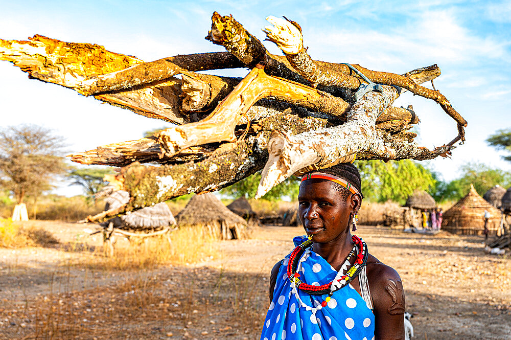 Woman carrying firewood on her head, Toposa tribe, Eastern Equatoria, South Sudan, Africa