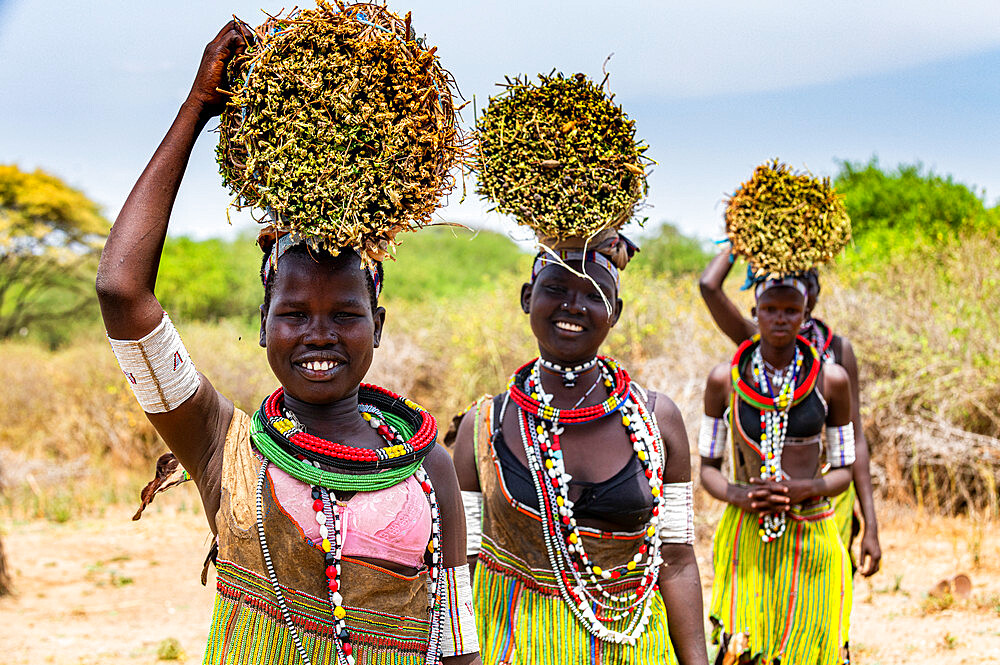 Girls with collected reeds on their heads on their way home, Toposa tribe, Eastern Equatoria, South Sudan, Africa