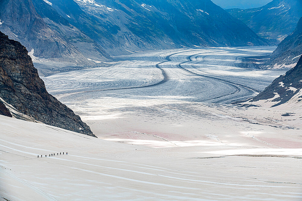 Hikers on the Aletsch Glacier from the Jungfraujoch, Bernese Alps, Switzerland, Europe