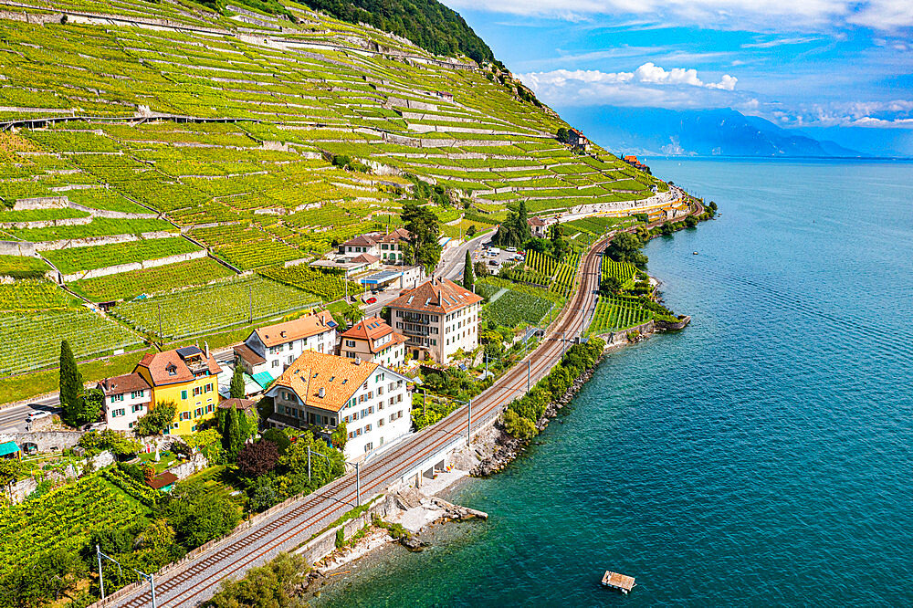 Aerial of the Lavaux Vineyard Terraces, UNESCO World Heritage Site, Lake Geneva, Switzerland, Europe