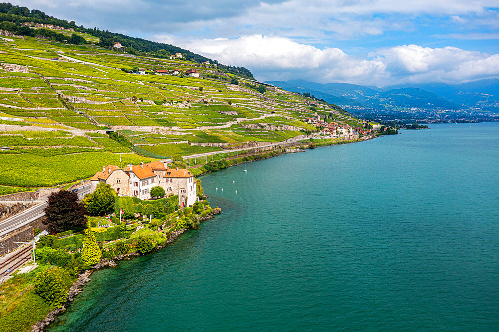 Aerial of the Lavaux Vineyard Terraces, UNESCO World Heritage Site, Lake Geneva, Switzerland, Europe