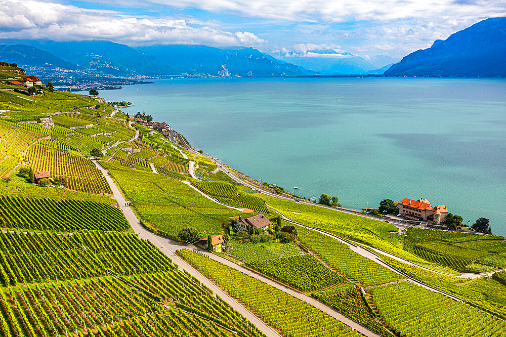 Aerial of Lavaux Vineyard Terraces, UNESCO World Heritage Site, Lake Geneva, Switzerland, Europe