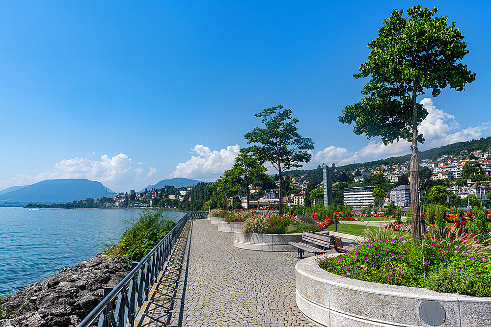 Gardens along Lake Neuchatel, Neuchatel, Switzerland, Europe