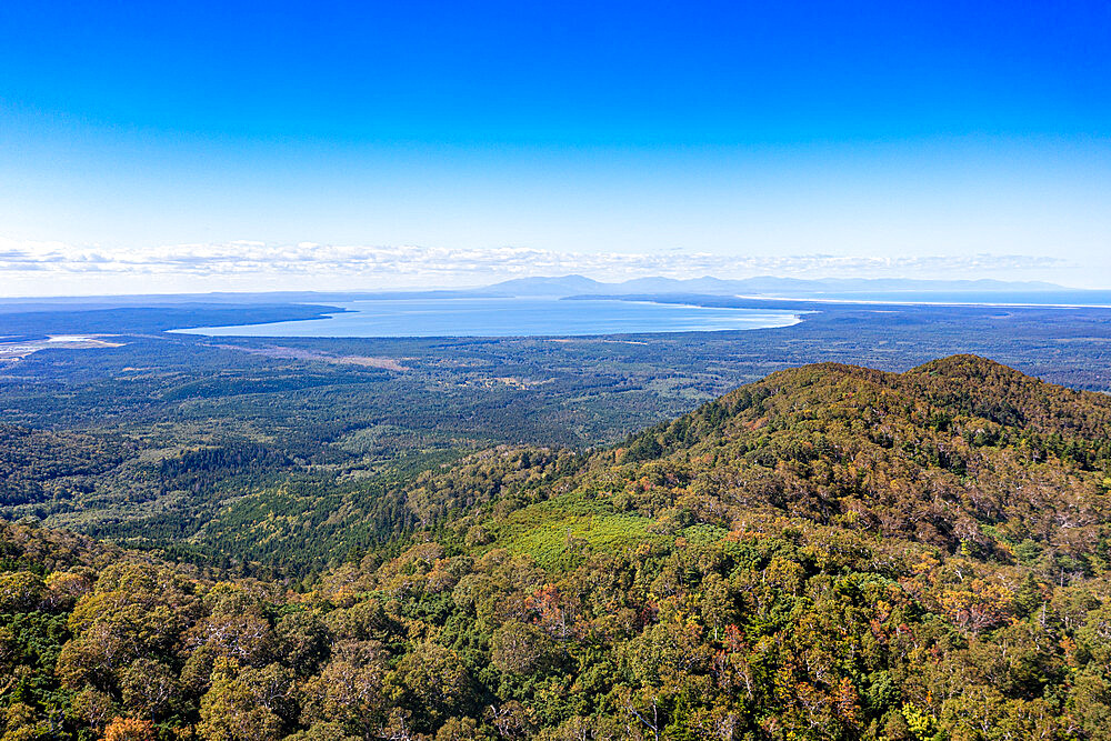 Overlook over the forested south coast of Sakhalin, Russia, Eurasia