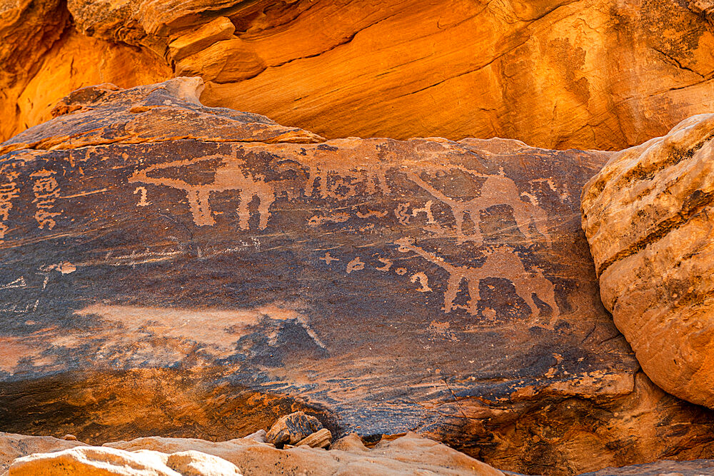 Rock Art in the Ha'il Region, UNESCO World Heritage Site, Jubbah, Kingdom of Saudi Arabia, Middle East