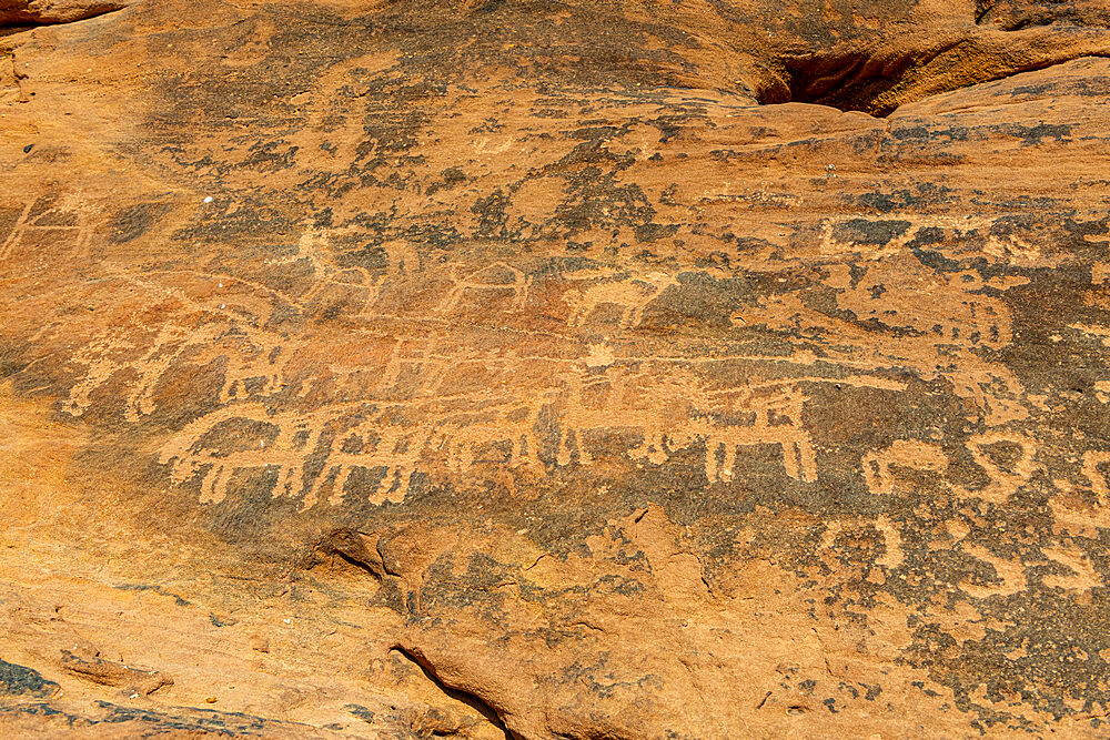 Rock Art in the Ha'il Region, UNESCO World Heritage Site, Jubbah, Kingdom of Saudi Arabia, Middle East