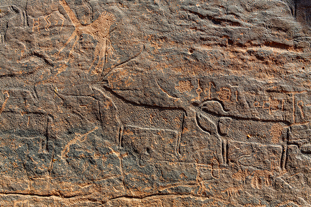 Rock Art in the Ha'il Region, UNESCO World Heritage Site, Jubbah, Kingdom of Saudi Arabia, Middle East