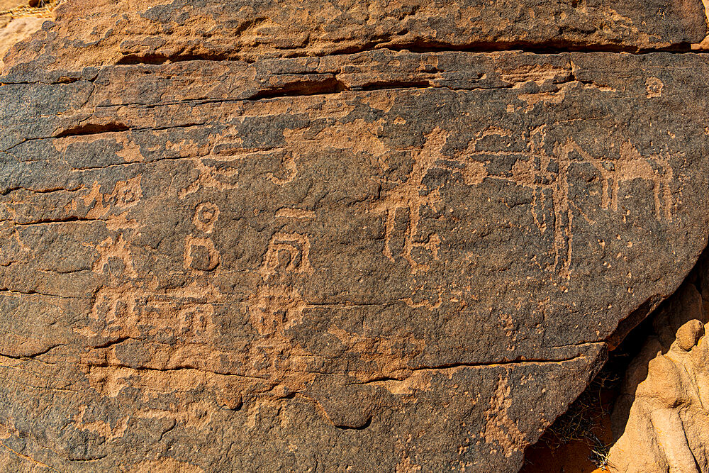 Rock Art in the Ha'il Region, UNESCO World Heritage Site, Jubbah, Kingdom of Saudi Arabia, Middle East