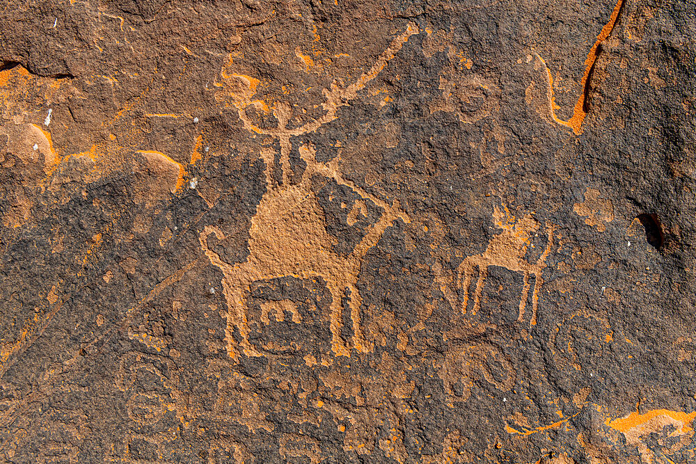 Rock Art in the Ha'il Region, UNESCO World Heritage Site, Jubbah, Kingdom of Saudi Arabia, Middle East