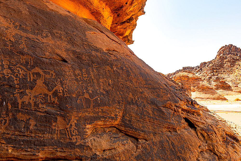 Rock Art in the Ha'il Region, UNESCO World Heritage Site, Jubbah, Kingdom of Saudi Arabia, Middle East