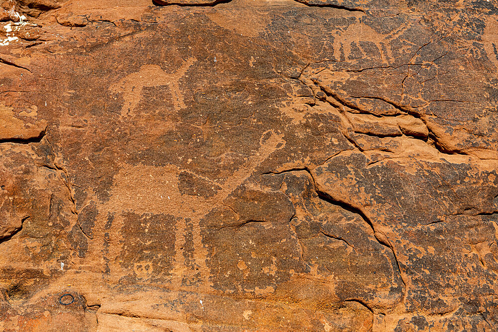 Rock Art in the Ha'il Region, UNESCO World Heritage Site, Jubbah, Kingdom of Saudi Arabia, Middle East