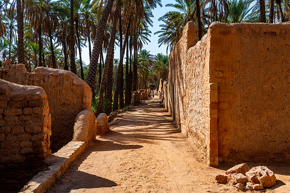 Oasis of Al Ula, Kingdom of Saudi Arabia, Middle East