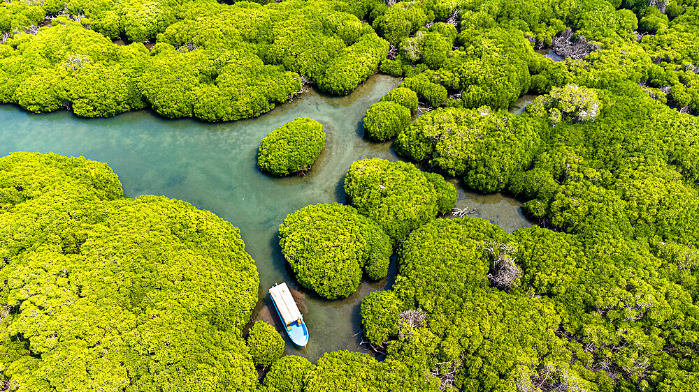 Aerial of the Mangrove forest, Farasan islands, Kingdom of Saudi Arabia, Middle East