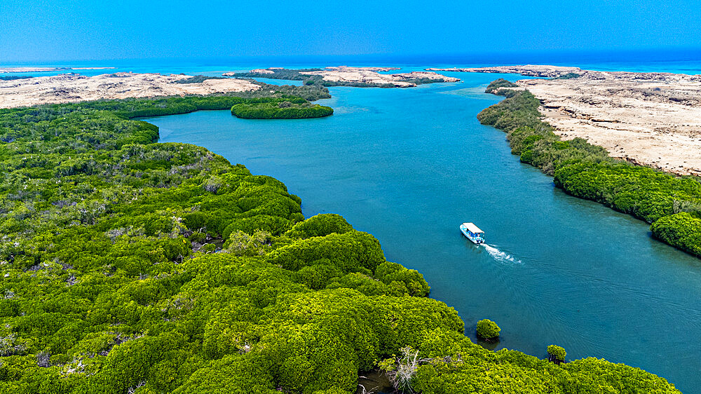 Aerial of the Mangrove forest, Farasan islands, Kingdom of Saudi Arabia, Middle East