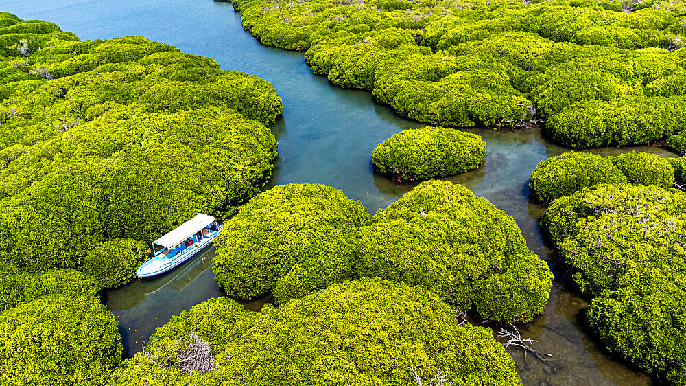 Aerial of the Mangrove forest, Farasan islands, Kingdom of Saudi Arabia, Middle East