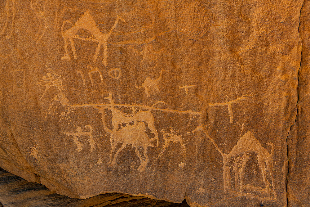 Rock carvings, Bir Hima Rock Petroglyphs and Inscriptions, UNESCO World Heritage Site, Najran, Kingdom of Saudi Arabia, Middle East