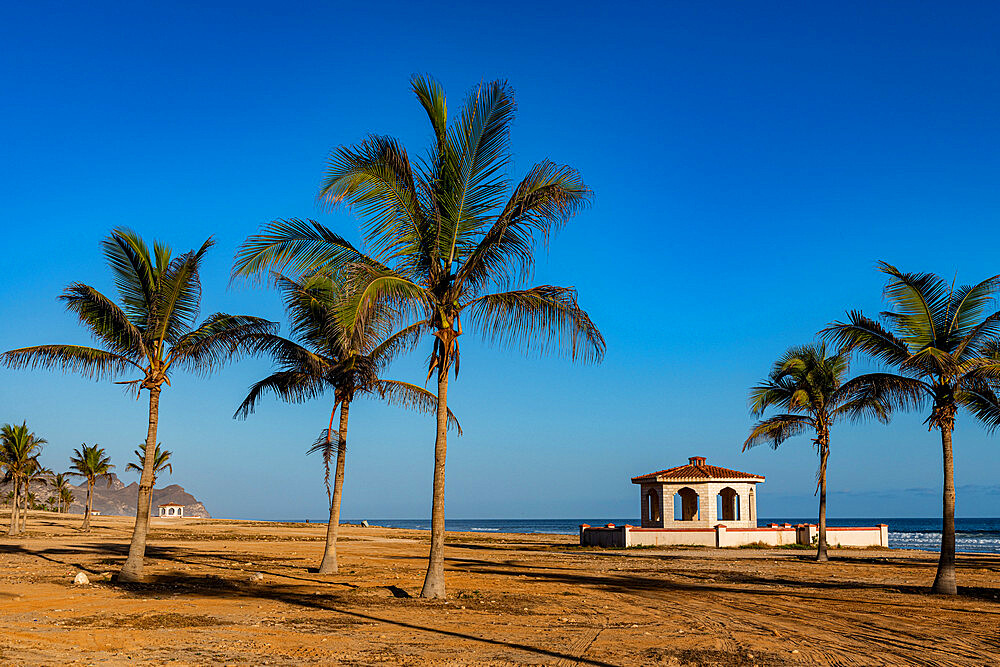 Palm trees on Mughsail beach, Salalah, Oman, Middle East