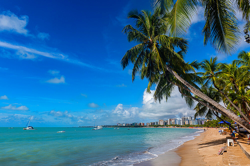 Palm fringed beach, Maceio, Alagoas, Brazil, South America