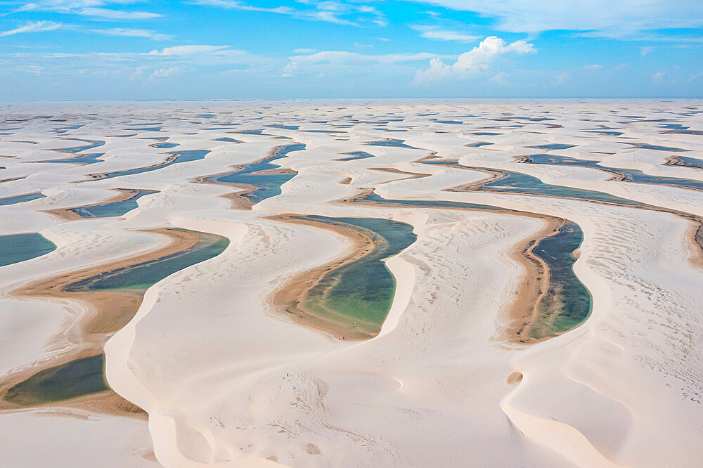 Aerial of freshwater lakes between huge sand dunes in the Lencois Maranhenses National Park, Maranhao, Brazil, South America