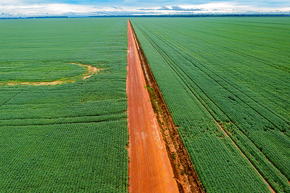 Giant soy fields, Sinop, Mato Grosso, Brazil, South America