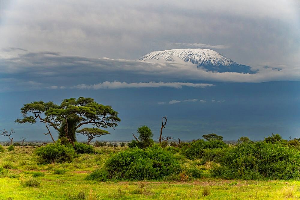 Mount Kilimanjaro, Amboseli National Park, Kenya