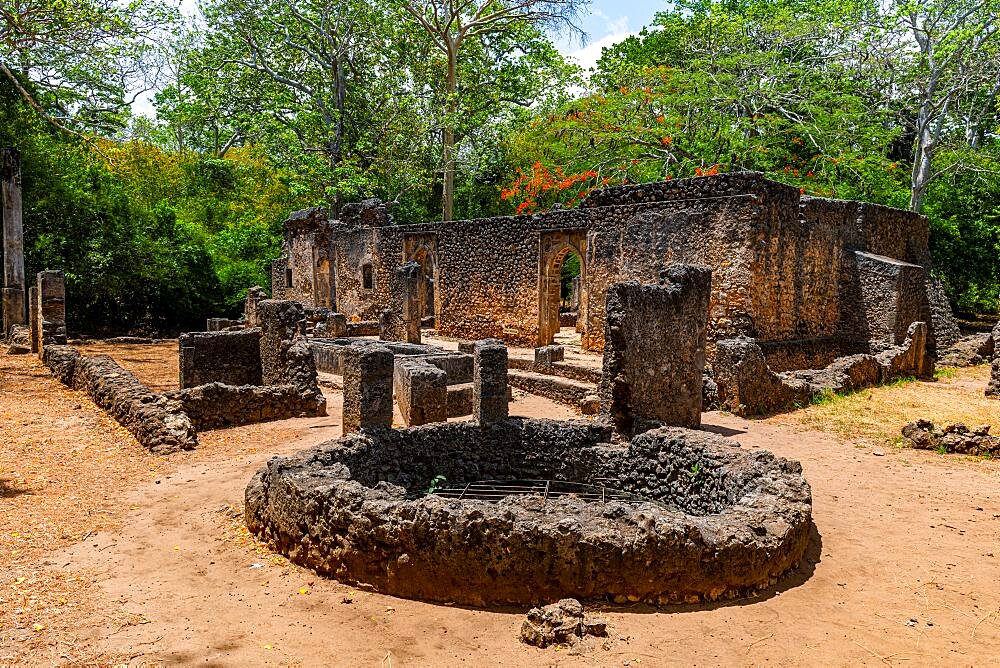 Ruins of medieval Swahili coastal settlements of Gedi, Kilifi, Kenya