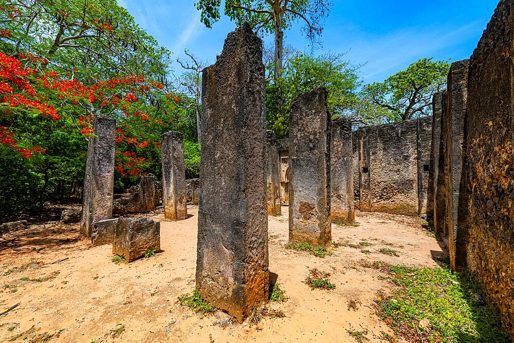 Ruins of medieval Swahili coastal settlements of Gedi, Kilifi, Kenya